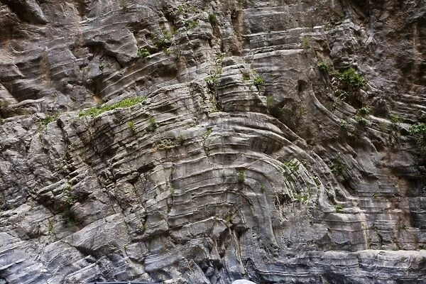 Folded strata in high limestone cliffs, Samaria Gorge N. P. White Mountains, Crete, Greece, May