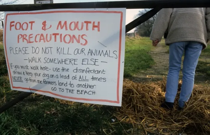 Framed Print : Foot and Mouth Precautions sign on farm gate, with walker using disinfected straw Framed Print : Foot and Mouth Precautions sign on farm gate, with walker using disinfected straw