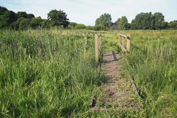 Framed Print : Footbridge over ditch in wet fen meadow habitat, Little Ouse Headwaters Project, The Lows, Blo Norton