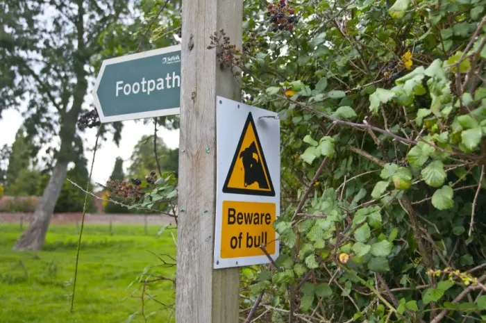 Framed Print : Footpath and Beware of Bull signs at edge of pasture, Wattisfield, Suffolk, England, august Framed Print : Footpath and Beware of Bull signs at edge of pasture, Wattisfield, Suffolk, England, august