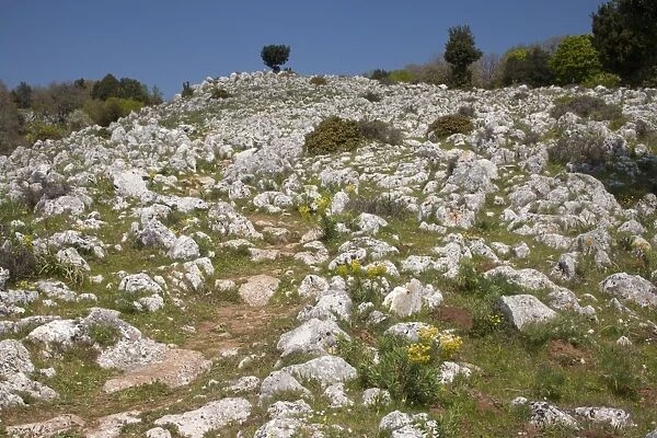 Footpath through limestone pavement habitat, Monte Sacro, Gargano Peninsula, Apulia, Italy, april