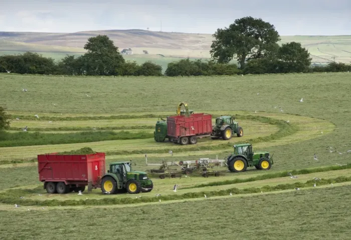 Framed Print : Forage harvesting grass for silage, forage harvester cutting grass and loading wagons, West Marton, North Yorkshire Framed Print : Forage harvesting grass for silage, forage harvester cutting grass and loading wagons, West Marton, North Yorkshire