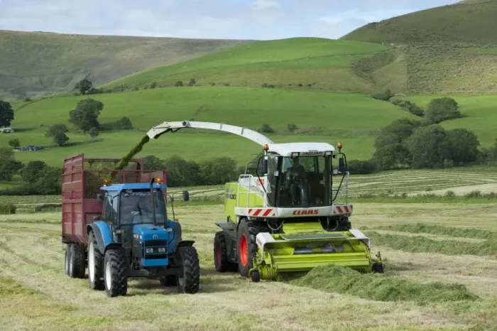 Framed Print : Forage harvesting grass for silage, forage harvester cutting grass and loading wagon, Bleasedale, Lancashire, England Framed Print : Forage harvesting grass for silage, forage harvester cutting grass and loading wagon, Bleasedale, Lancashire, England