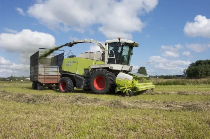 Framed Print : Forage harvesting silage, Cls Jaguar 850 forage harvester cutting grass and loading wagon, Alunda, Uppsala, Sweden Framed Print : Forage harvesting silage, Cls Jaguar 850 forage harvester cutting grass and loading wagon, Alunda, Uppsala, Sweden