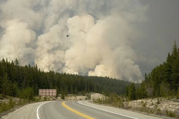 Forest fire, controlled burn with fire setting helicopter, Saskatchewan Valley, Banff N. P