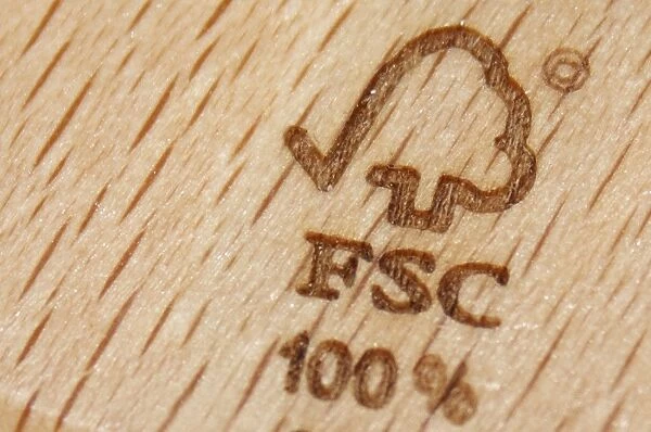 Forest Stewardship Council (FSC) label on wooden product
