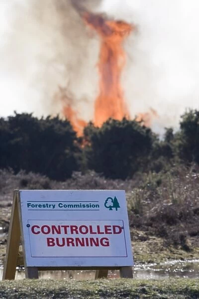Forestry Commission, Controlled Burning sign, controlled burning of heathland vegetation, New Forest, Hampshire