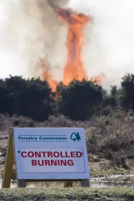 Framed Print : Forestry Commission, Controlled Burning sign, controlled burning of heathland vegetation, New Forest, Hampshire Framed Print : Forestry Commission, Controlled Burning sign, controlled burning of heathland vegetation, New Forest, Hampshire