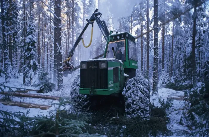 Framed Print : Forestry machine with chains on tyres, felling pine trees in snow covered plantation, Sweden, november Framed Print : Forestry machine with chains on tyres, felling pine trees in snow covered plantation, Sweden, november