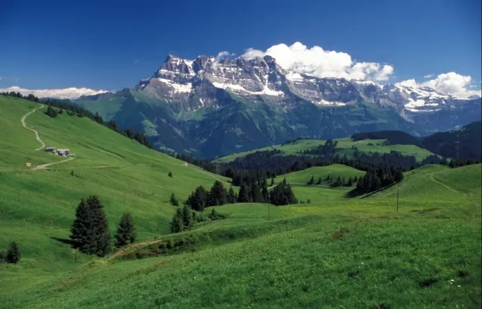 Framed Print : France Alpine Meadow views towards Dents De Midi, France Framed Print : France Alpine Meadow views towards Dents De Midi, France