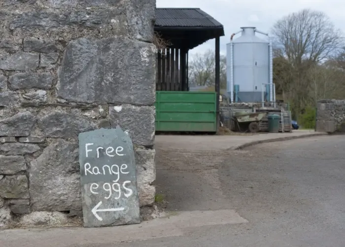 Framed Print : Free Range Eggs sign in farmyard, Gibralta Farm, Silverdale, Lancashire, England, april Framed Print : Free Range Eggs sign in farmyard, Gibralta Farm, Silverdale, Lancashire, England, april