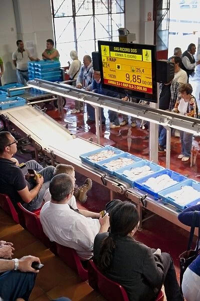 Fresh seafood being sold at auction, with wholesalers bidding at lots, Xabia, Alicante Province, Valencia, Spain, May