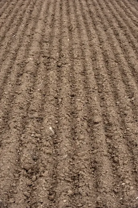 Framed Print : Freshly cultivated soil in arable field, Scotland, september Framed Print : Freshly cultivated soil in arable field, Scotland, september