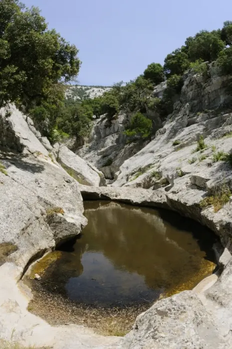 Framed Print : Freshwater pool amongst rocks, habitat of Sardinian Brook Salamander (Euproctus platycephalus), Barbagia, Sardinia Framed Print : Freshwater pool amongst rocks, habitat of Sardinian Brook Salamander (Euproctus platycephalus), Barbagia, Sardinia