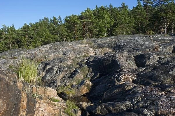 Freshwater pools in coastal rock formations, Kallarberget, Baltic Sea, Sweden, july