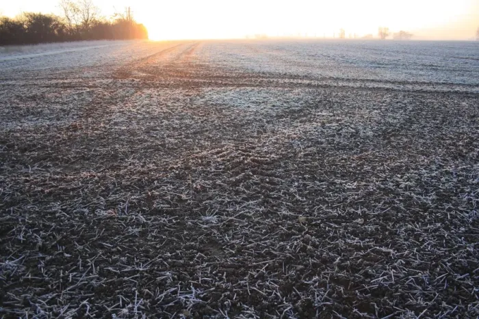 Framed Print : Frost covered cultivated arable field at sunrise, Bacton, Suffolk, England, november