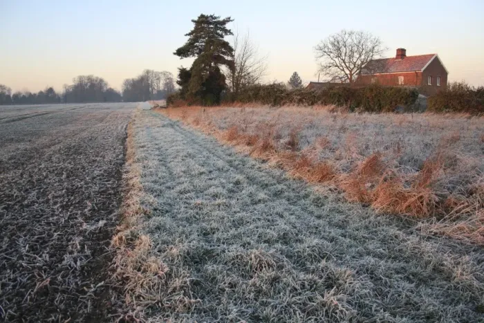 Framed Print : Frost covered headland strip between permanent set-a-side and cultivated arable field at sunrise, Bacton, Suffolk Framed Print : Frost covered headland strip between permanent set-a-side and cultivated arable field at sunrise, Bacton, Suffolk
