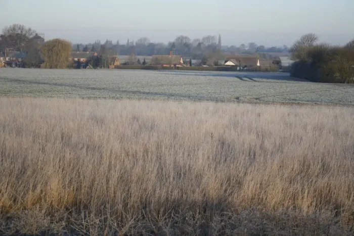 Framed Print : Frost covered permanent set-a-side beside arable field, Bacton, Suffolk, England, march Framed Print : Frost covered permanent set-a-side beside arable field, Bacton, Suffolk, England, march
