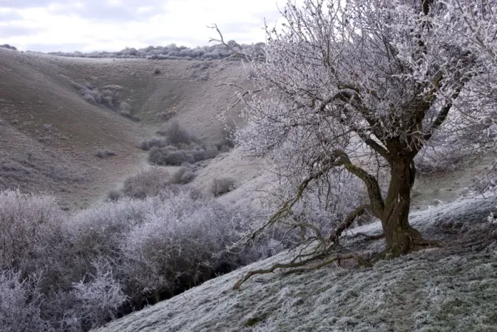Framed Print : Frost covered trees and glacial Dry Valley, Incombe Hole, near Ivinghoe Beacon, Chiltern Hills, Buckinghamshire Framed Print : Frost covered trees and glacial Dry Valley, Incombe Hole, near Ivinghoe Beacon, Chiltern Hills, Buckinghamshire
