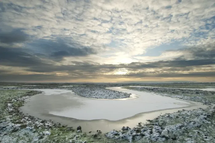 Framed Print : Frozen flooded rill and snow, Elmley Marshes N. N. R. North Kent Marshes, Isle of Sheppey, Kent, England, february Framed Print : Frozen flooded rill and snow, Elmley Marshes N. N. R. North Kent Marshes, Isle of Sheppey, Kent, England, february