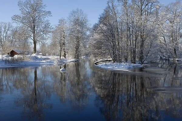 Frozen river, snow covered bare trees, Sweden, winter