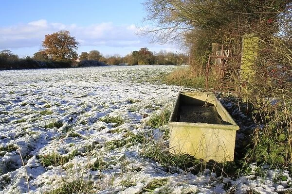 Frozen water trough at edge of snow covered pasture, Bacton, Suffolk, England, november