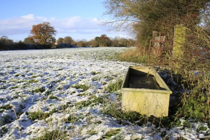 Framed Print : Frozen water trough at edge of snow covered pasture, Bacton, Suffolk, England, november Framed Print : Frozen water trough at edge of snow covered pasture, Bacton, Suffolk, England, november
