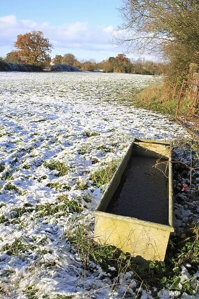Frozen water trough at edge of snow covered pasture, Bacton, Suffolk, England, november