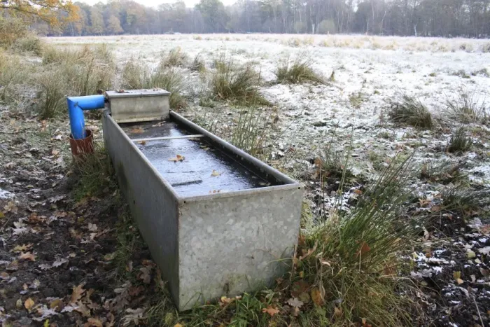 Framed Print : Frozen water trough with rushes at edge of frost and snow covered rush pasture habitat, in river valley fen Framed Print : Frozen water trough with rushes at edge of frost and snow covered rush pasture habitat, in river valley fen