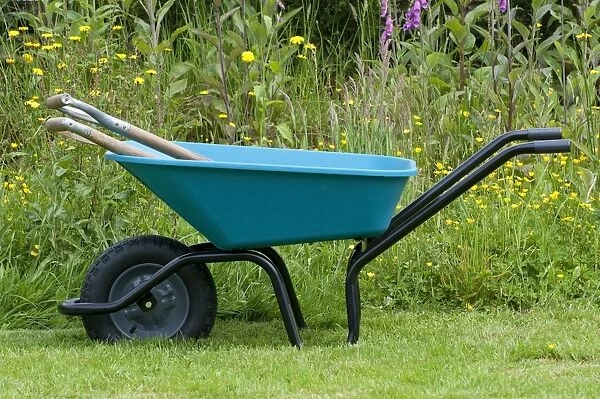 Garden wheelbarrow with tools, on lawn beside wildflower border, Normandy, France, May