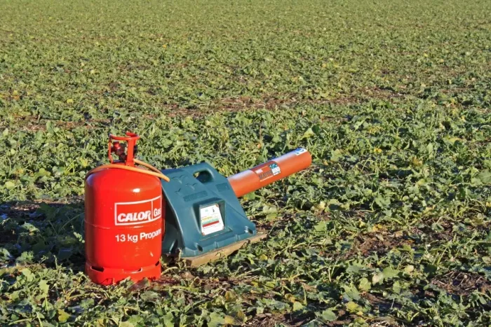 Framed Print : Gas-gun, gas powered bird scarer in Oilseed Rape (Brassica napus) crop, Thornham Magna, Suffolk, England, january Framed Print : Gas-gun, gas powered bird scarer in Oilseed Rape (Brassica napus) crop, Thornham Magna, Suffolk, England, january