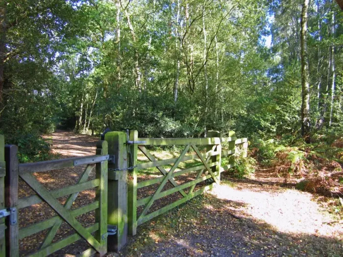Framed Print : Gate in deciduous woodland habitat, Burnham Beeches N. N. R. Buckinghamshire, England, october Framed Print : Gate in deciduous woodland habitat, Burnham Beeches N. N. R. Buckinghamshire, England, october