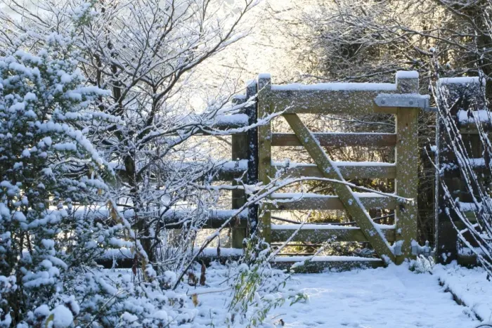 Framed Print : Gate in snow covered garden, Powys, Wales, January Framed Print : Gate in snow covered garden, Powys, Wales, January