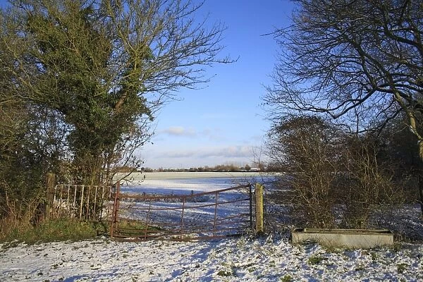 Gate and water trough at edge of snow covered pasture, Bacton, Suffolk, England, november