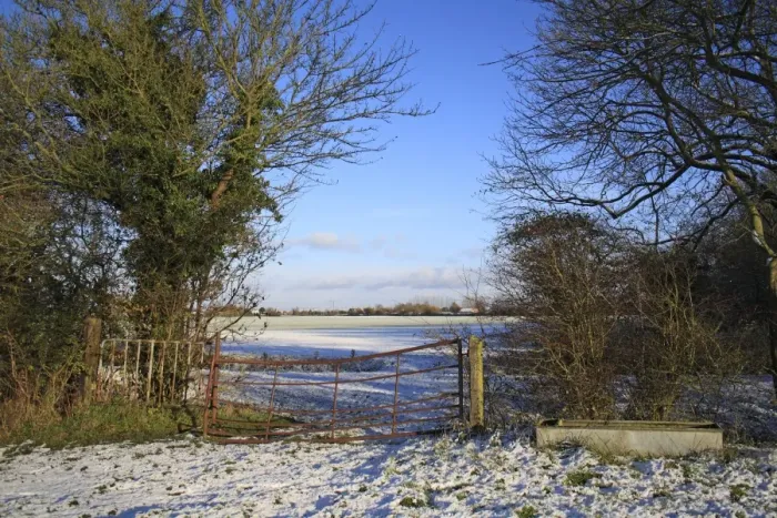 Framed Print : Gate and water trough at edge of snow covered pasture, Bacton, Suffolk, England, november Framed Print : Gate and water trough at edge of snow covered pasture, Bacton, Suffolk, England, november