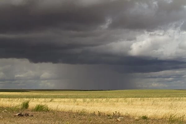 Gathering stormclouds and distant rainfall, Castilla y Leon, Spain, May