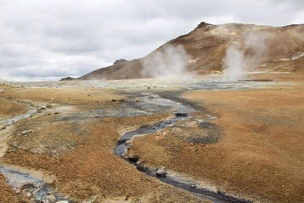 Geothermal activity, Namafjall, Myvatn, Iceland, May