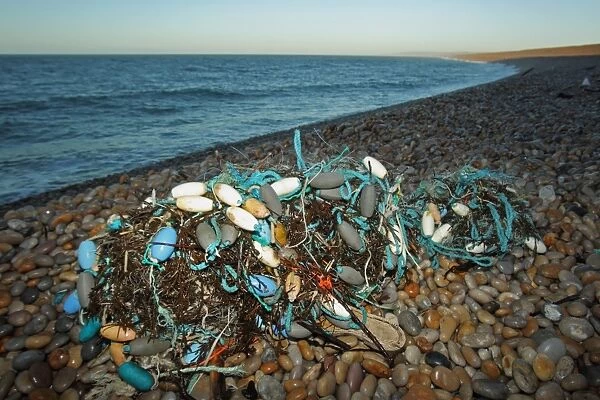 Gill net washed up on beach, Chesil Beach, Dorset, England, January