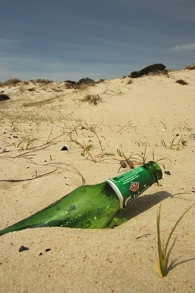 Glass beer bottle discarded on sandy beach, Studland, Dorset, England, may