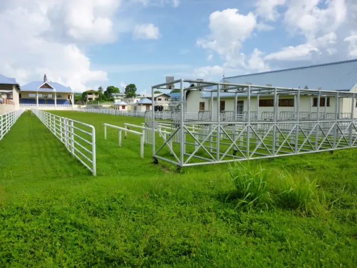 Framed Print : Goat racing track, Buccoo Integrated Facility, Buccoo, Tobago, Trinidad and Tobago, October Framed Print : Goat racing track, Buccoo Integrated Facility, Buccoo, Tobago, Trinidad and Tobago, October