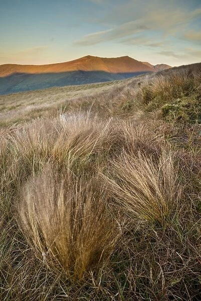 Grass and mountain peak at sunrise, Conor Pass, Dingle Peninsula, County Kerry, Munster, Ireland, November