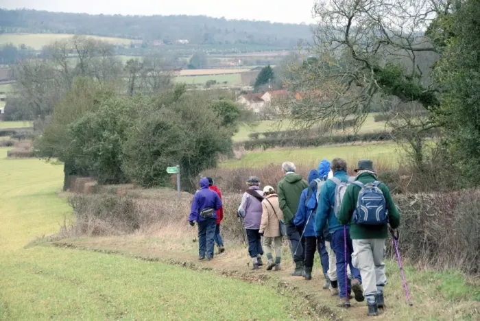 Framed Print : Group of walkers, members of Chiltern Society, walking along footpath in farmland, near Great Missenden Framed Print : Group of walkers, members of Chiltern Society, walking along footpath in farmland, near Great Missenden
