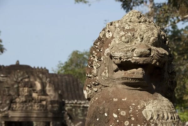 Guardian lion statue in Khmer temple ruins, Ta Prohm, Angkor, Siem Riep, Cambodia
