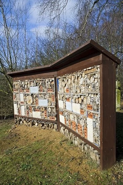 Guinness World Record holder for largest bug hotel, Sevenoaks Wildlife Reserve, Kent, England, February