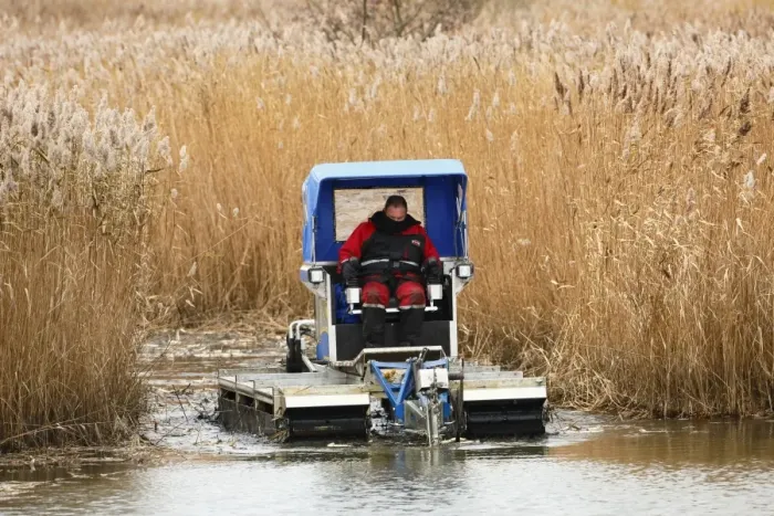 Framed Print : Habitat management for conservation, worker cutting channels in reedbed, improving water flow to increase biodiversity Framed Print : Habitat management for conservation, worker cutting channels in reedbed, improving water flow to increase biodiversity