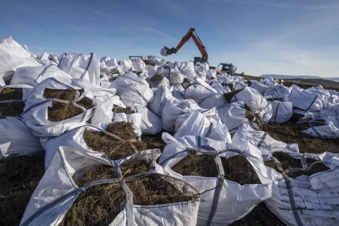 Framed Print : Heather cut and bagged for transport to Kinder Scout, Peak District, to protect and re-seed areas of bare soil Framed Print : Heather cut and bagged for transport to Kinder Scout, Peak District, to protect and re-seed areas of bare soil