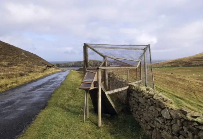 Framed Print : Heligoland trap, used to trap birds for ringing, Fair Isle, Shetland Islands, Scotland Framed Print : Heligoland trap, used to trap birds for ringing, Fair Isle, Shetland Islands, Scotland