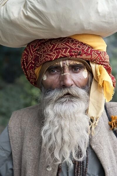 Hindu sadhu holy man, close-up of head, Delhi, India