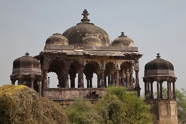 Historic fortress in forest, Ranthambore N. P. Rajasthan, India