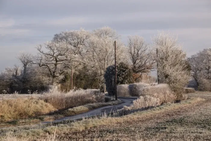 Framed Print : Hoar frost covers a Suffolk country lane Framed Print : Hoar frost covers a Suffolk country lane